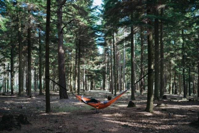 Five great places to go on a hammock trip in Oslo this summer