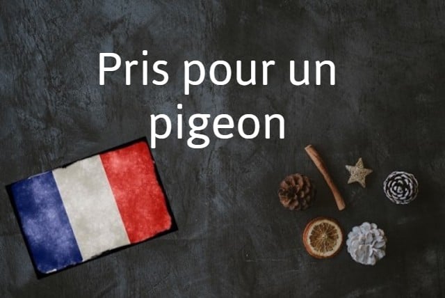French expression of the Day: Pris pour un pigeon