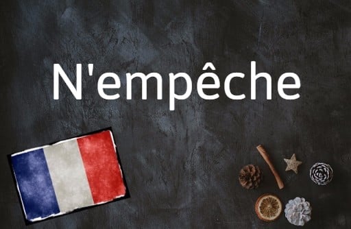 French phrase of the day: N’empêche