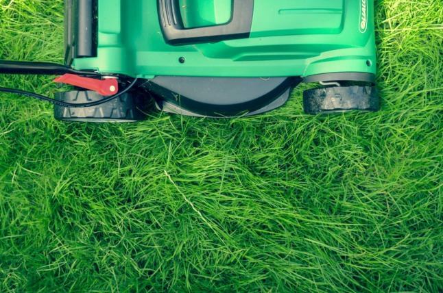 A lawn mower cuts green grass 