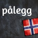 Norwegian word of the day: Pålegg