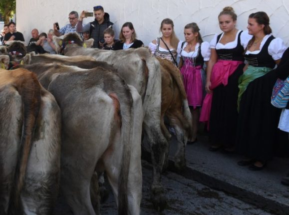    Traditional Dirndl dresses have made a comeback in Austria in recent years.  (Photo by Christof STACHE / AFP)