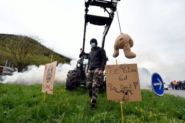 The decades-old battle between French farmers and conservationists over bears