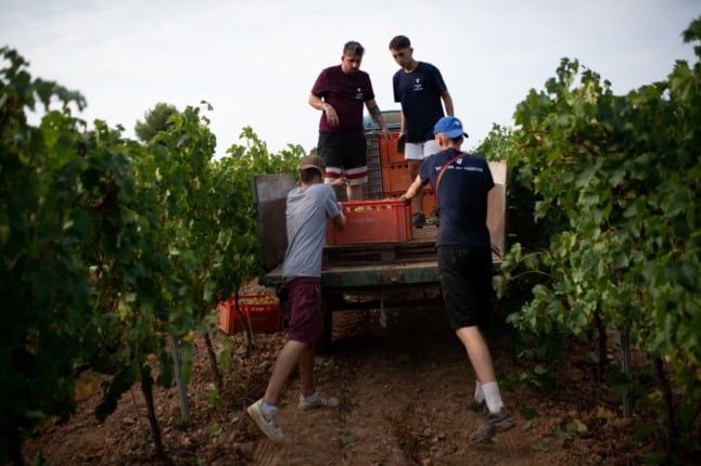Uphill battle: Spain's wine growers forced to adapt to climate change