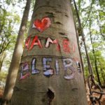 German court rules anti-coal eviction in Hambach Forest illegal