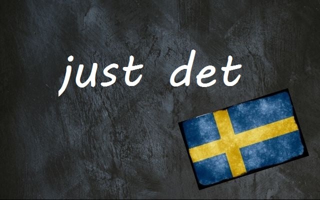 Swedish word of the day: just det