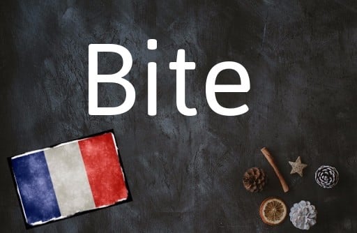 French word of the Day: Bite