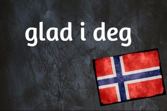Norwegian expression of the day: Glad i deg