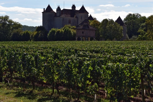 Vineyards in the Cahors area of southern France. 