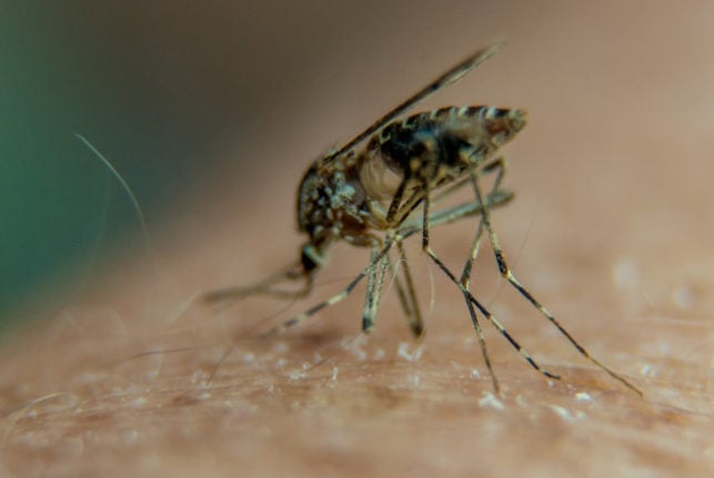 The humid weather in September encouraged the spread of mosquitoes.