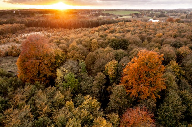 Autumnal Danish forest colours photographed by a drone over Zealand on October 22nd.