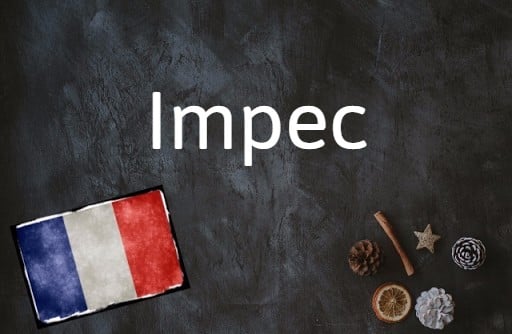 Today's French word of the day is Impec.