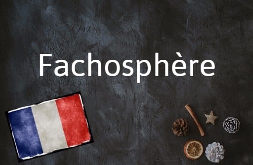 Today's French word of the day is 'Fachosphère'.