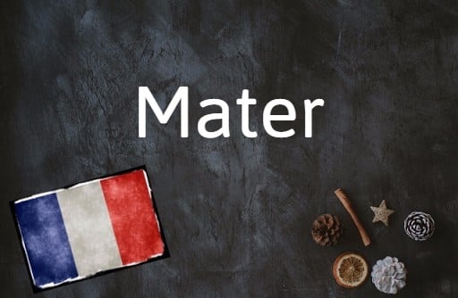 The French word of the day is 'mater'.