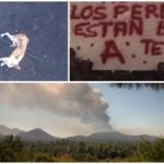 Who let the dogs out? Mystery disappearance grips Spain as La Palma volcano rages on