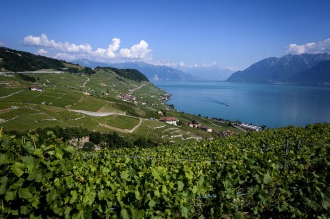Lavaux is one of Vaud's wine-growing areas.