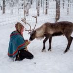 How Norway’s wind farms are harming reindeer herders