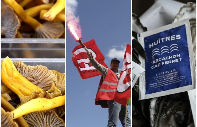 Mushrooms, protests and oysters all have a season in France. 