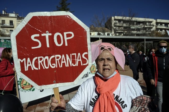 A protestor wearing a pig mask holds a sign reading 