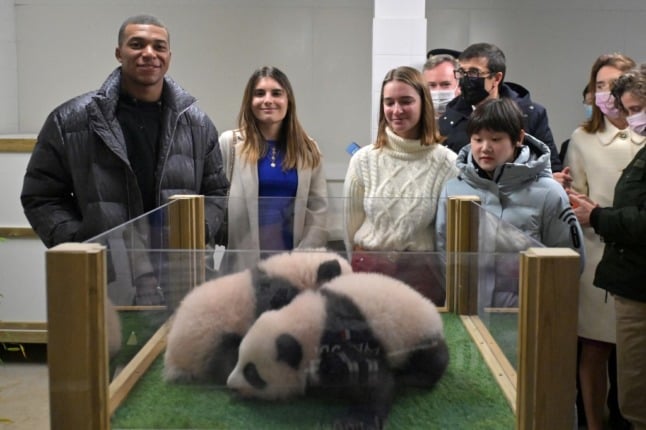 French football star Kylian Mbappé is proud godfather to these two baby pandas. 