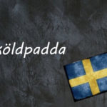 Swedish word of the day: sköldpadda