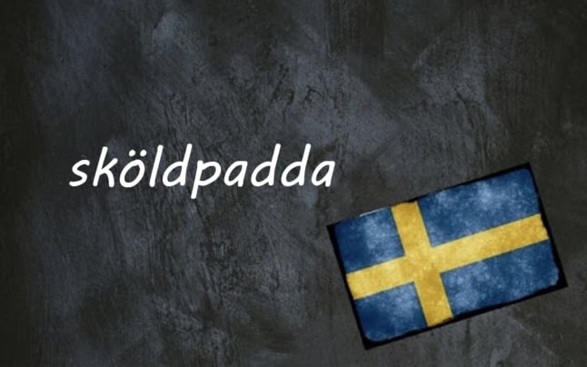 the word sköldpadda on a black background beside a swedish flag