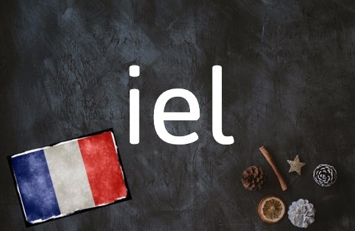 French word of the day: iel 