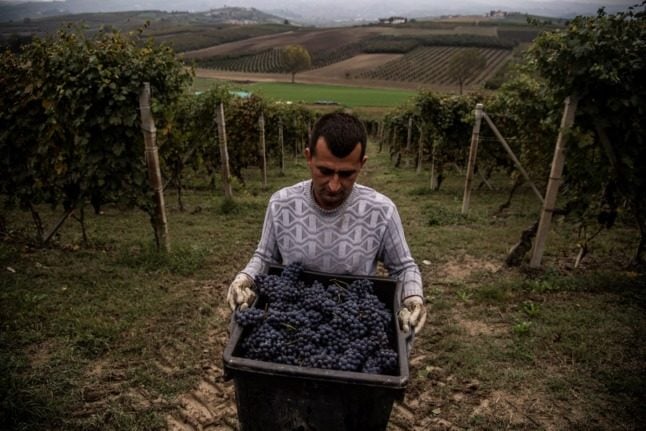 Italy’s wine production dropped by nine percent in 2021