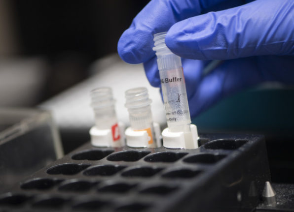 PCR tests being prepared for analysis in a lab