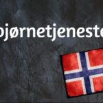 Norwegian word of the day: Bjørnetjeneste