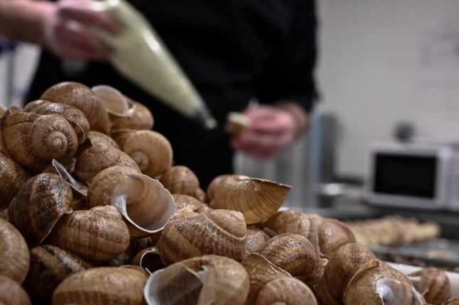 A French snail breeder prepares some escargots de Bourgogne.