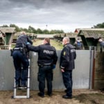Danish authorities bust second illegal mink farm