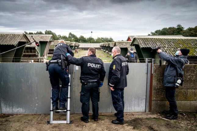 An illustration file photo showing Danish police at a mink farm in October 2020.