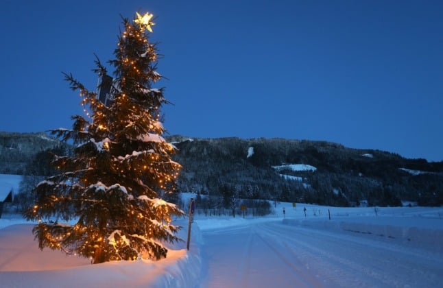 Christmas tree in the snow in Bavaria