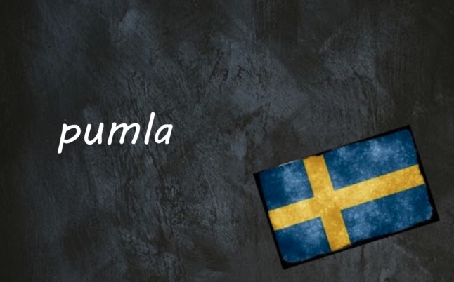 the word pumla on a black background by a swedish flag