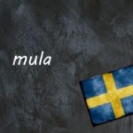 Swedish word of the day: mula