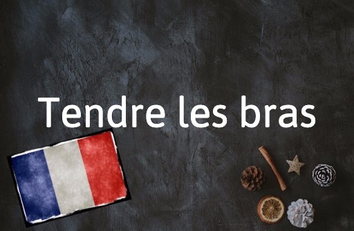 French Expression of the Day: Tendre les bras