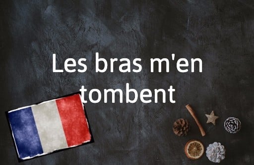 French Expression of the Day: Les bras m’en tombent