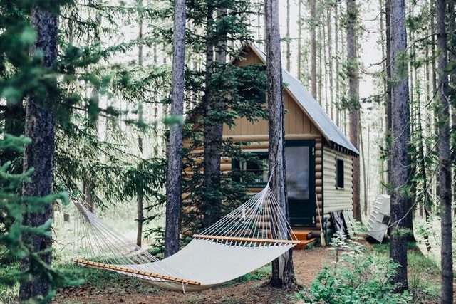 Hammock by cabin