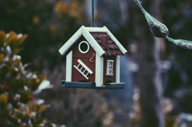 A bird house seen in a backyard