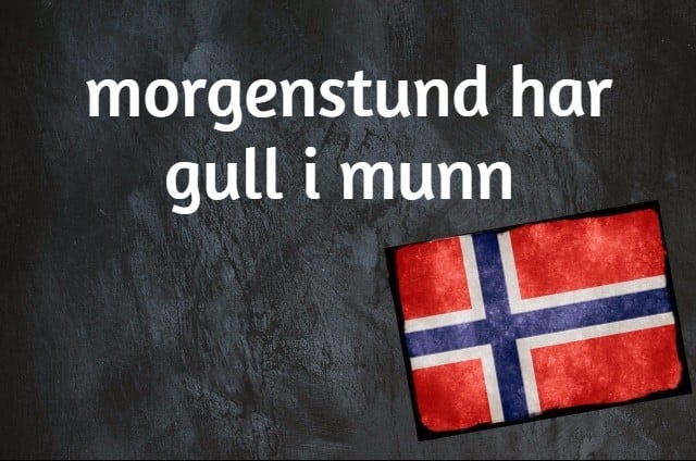 Norwegian expression of the day: Morgenstund har gull i munn