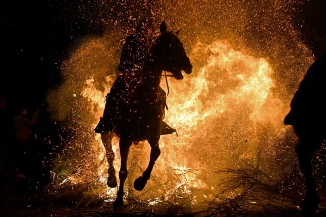 A horseman rides through a bonfire in the village of San Bartolome de Pinares in the province of Avila in central Spain, during the traditional religious festival of 