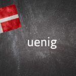 Danish word of the day: Uenig