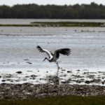 Police operation targets illegal water tapping in Spain