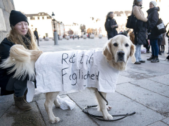 vets and animals protesting in Copenhagen