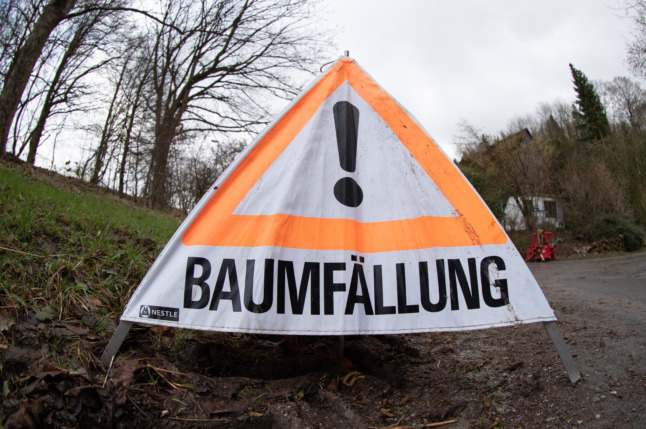 Forecasters warn public of falling trees as Germany braces for next storm