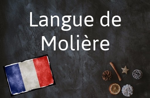 French phrase of the Day: Langue de Molière