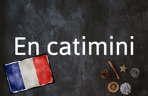 French Expression of the Day: En catimini