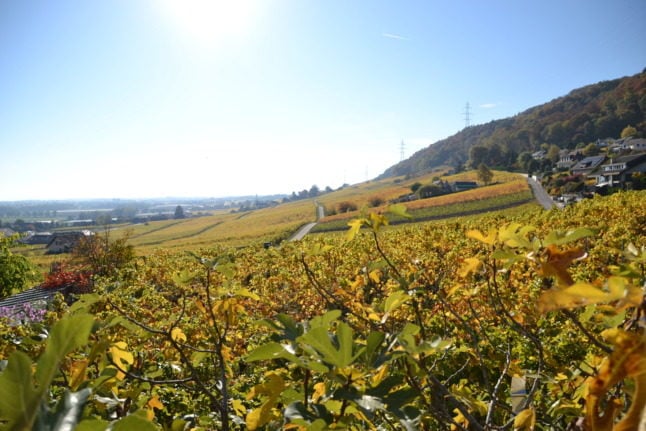 The village of Bursins is perched above sloping vineyards. Photo: Commune de Bursins