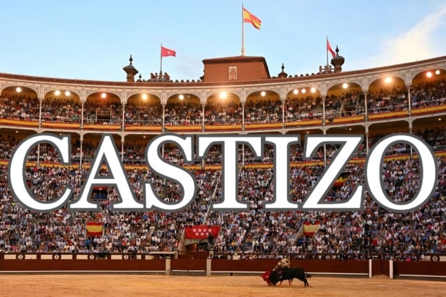 bullfighting madrid castizo